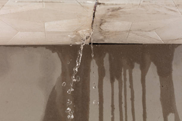 Professional Structural Drying technician working in Holden, ME